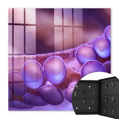 Podvodní harmonie s tajemnou atmosférou