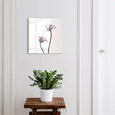 Minimalistické květiny na světlém pozadí