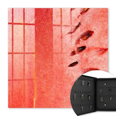 Šťavnatý meloun se semínky