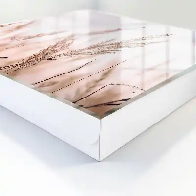 Luční elegance v pastelových barvách