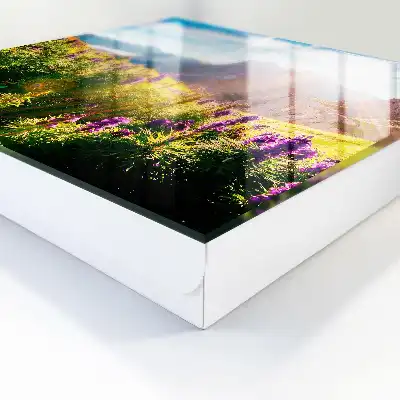 Horská idylka s květinami a sluncem
