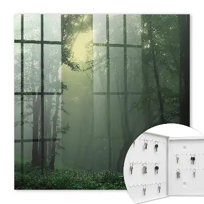 Lesní mlha v ranní mlze