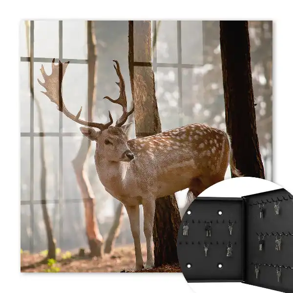 Jelen v lese při západu slunce