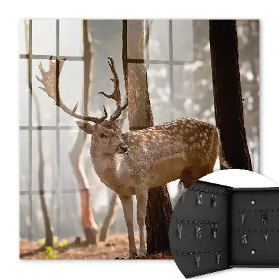 Jelen v lese při západu slunce