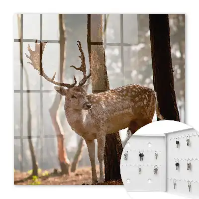 Jelen v lese při západu slunce