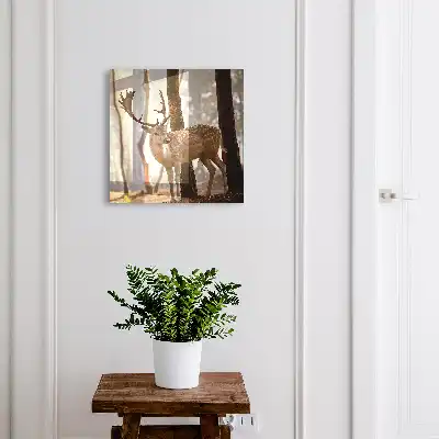 Jelen v lese při západu slunce