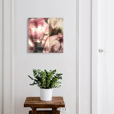 Růžové krásy růží v odstínech