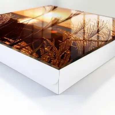 Západ slunce nad mořem s trávou