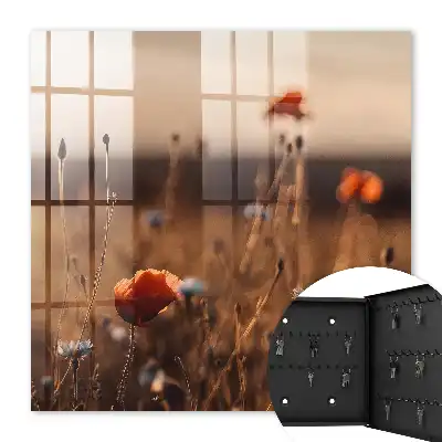 Maková pole na -