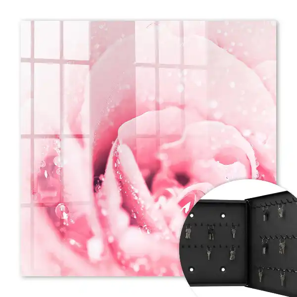 Růžová lahůdka s kapkami rosy