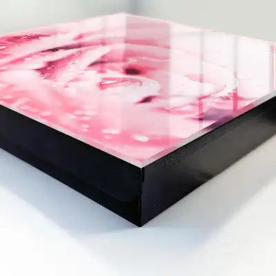 Růžová lahůdka s kapkami rosy