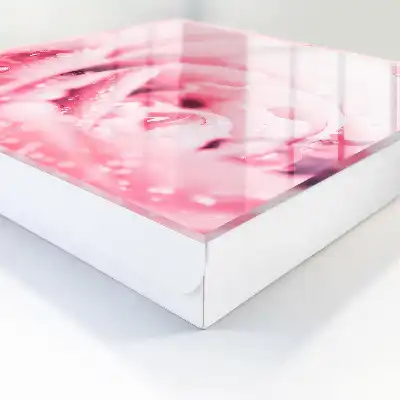 Růžová lahůdka s kapkami rosy