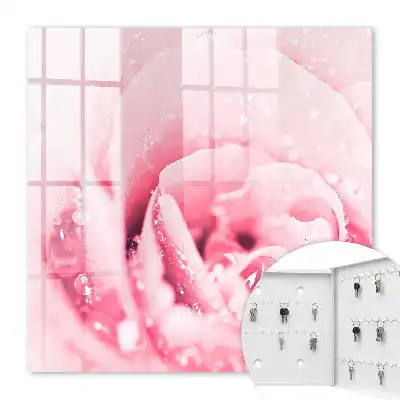 Růžová lahůdka s kapkami rosy