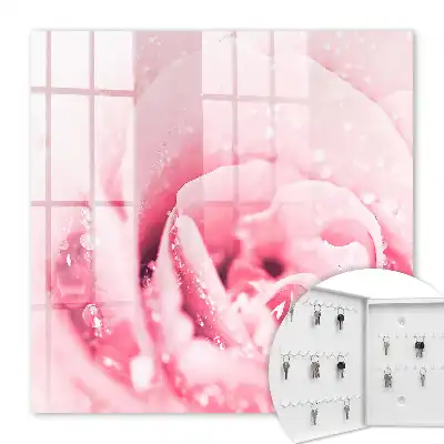 Růžová lahůdka s kapkami rosy
