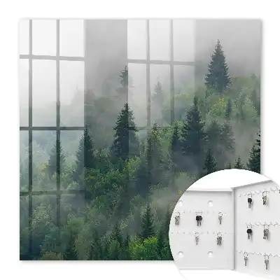 Mlžný les, tajemná atmosféra
