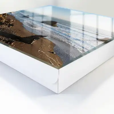 Přímořská krajina s modrým oceánem