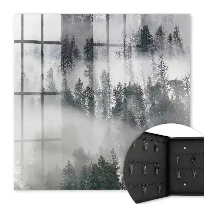 Mlžná zeleň vytváří klidnou atmosféru