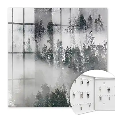 Mlžná zeleň vytváří klidnou atmosféru