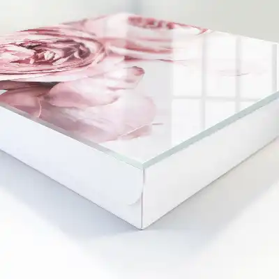 Růžová kráska plná elegance