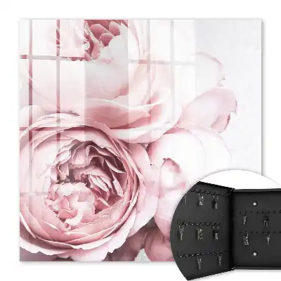 Růžová kráska plná elegance