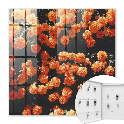 Kvetoucí hojnost na tmavém pozadí