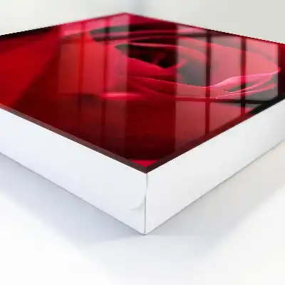 Detail růžových okvětních lístků