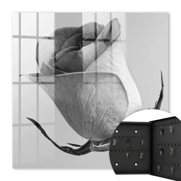 Růžová elegance minimalismus příroda