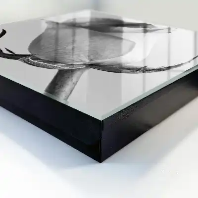 Růžová elegance minimalismus příroda