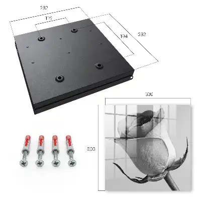 Růžová elegance minimalismus příroda