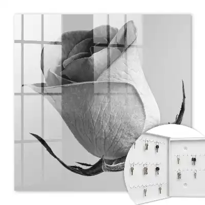 Růžová elegance minimalismus příroda