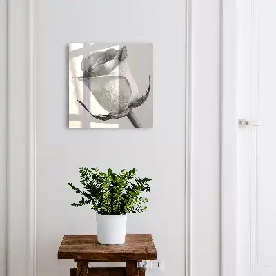 Růžová elegance minimalismus příroda
