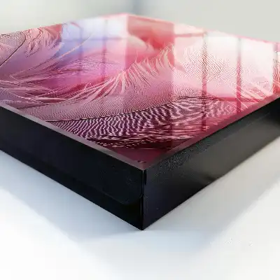 Krásné růžové a modré peří