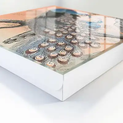 Páví kráska v pastelovém pozadí