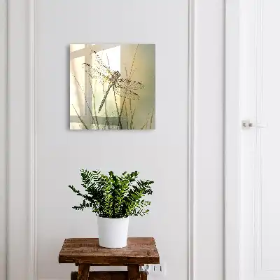 Vážka přírodní elegance