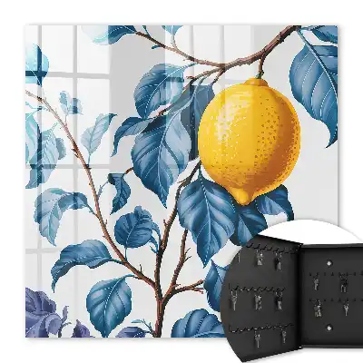 Citronové listy plné detailů