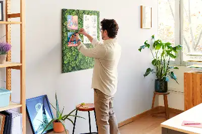 Nástěnka Lesní povaha stromu