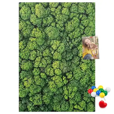 Nástěnka Lesní povaha stromu