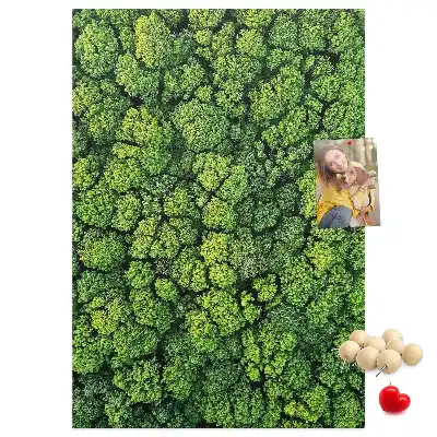 Nástěnka Lesní povaha stromu