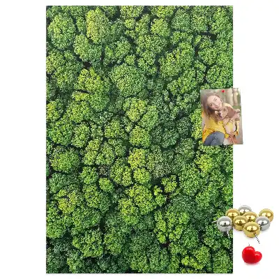 Nástěnka Lesní povaha stromu
