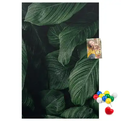 Nástěnka s motivem listů džungle