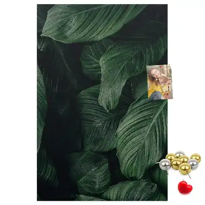 Nástěnka s motivem listů džungle