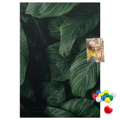 Nástěnka s motivem listů džungle