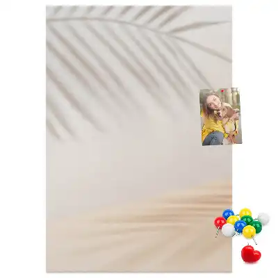 Nástěnná dekorace Stín palmového listu