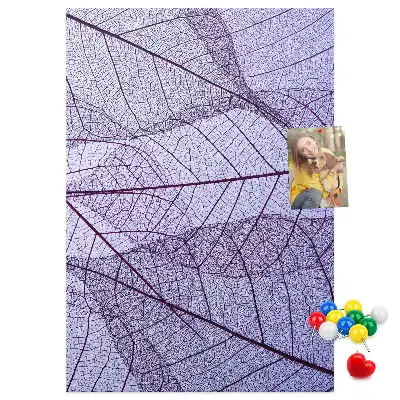 Nástěnka Struktura listu