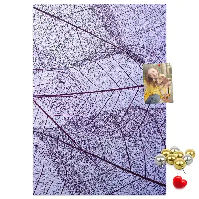 Nástěnka Struktura listu