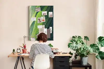 Dětská nástěnka Přírodní krajinné linie