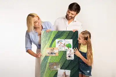 Dětská nástěnka Přírodní krajinné linie