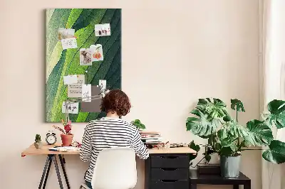 Dětská nástěnka Přírodní krajinné linie