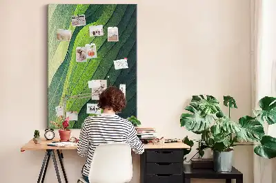 Dětská nástěnka Přírodní krajinné linie