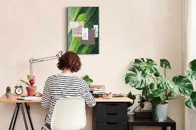 Dětská nástěnka Přírodní krajinné linie